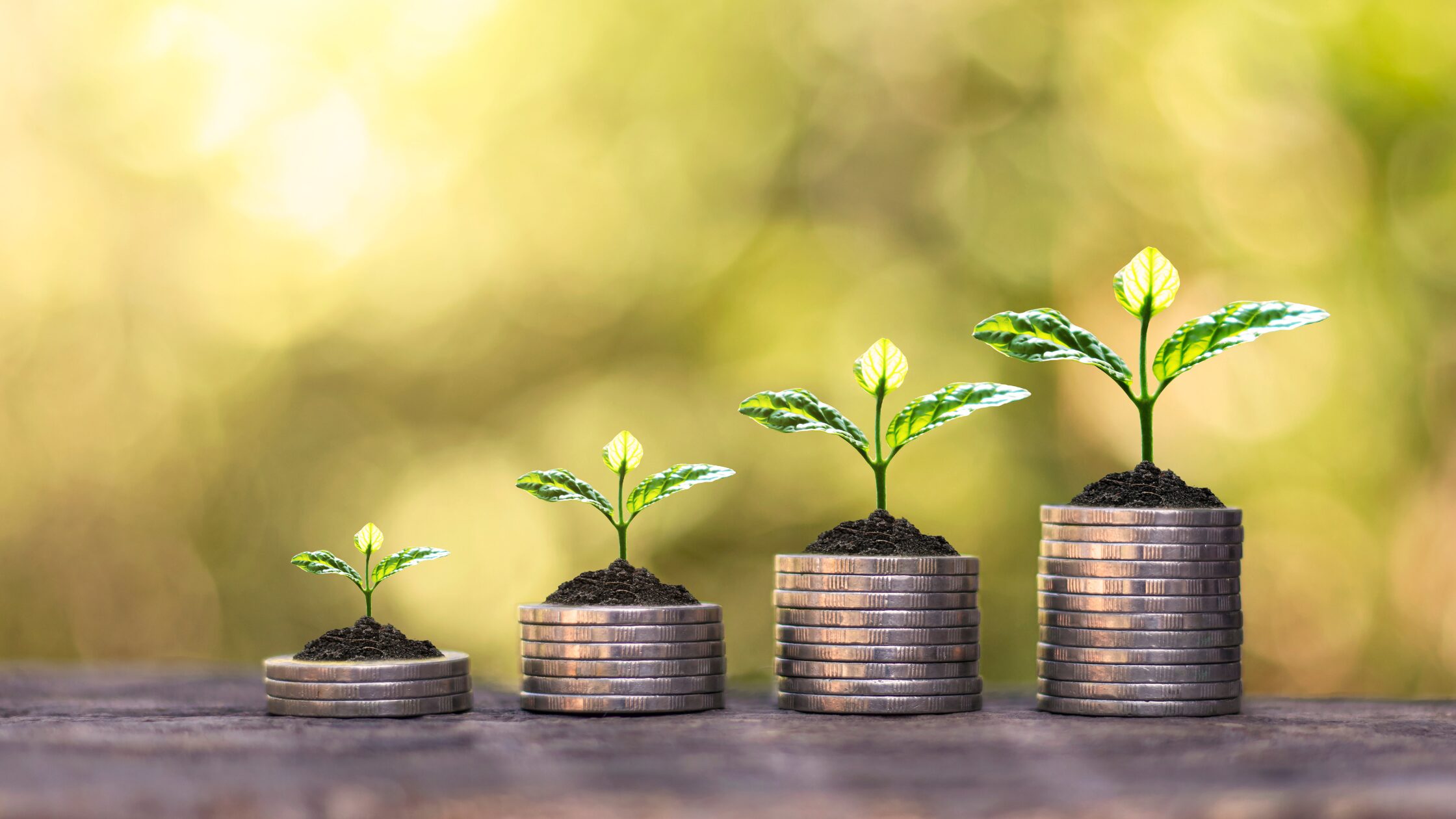 初心者向け】暗号資産（仮想通貨）ローリスク・ハイリスクの投資手法を徹底解説